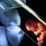 İnfertilite (Tüp Bebek) Genel Bilgiler